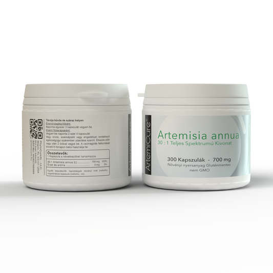 Artemisia annua – 30:1 Teljes Spektrumú Kivonat – 300 Kapszula