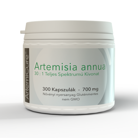 Artemisia annua – 30:1 Teljes Spektrumú Kivonat – 300 Kapszula